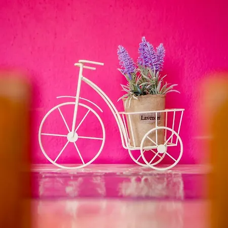 Anthe Holiday home